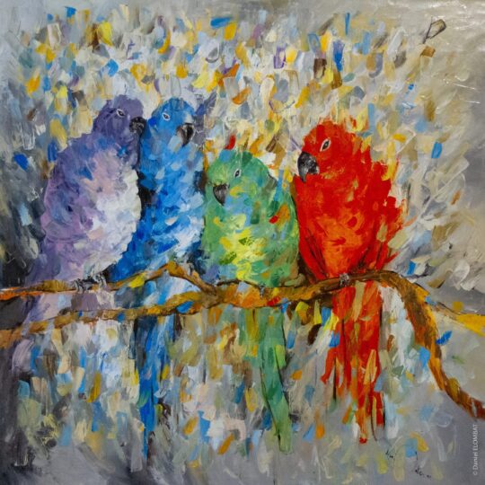 OISEAUX COLORES